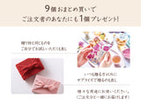 【まとめ買い】花色しおん 6袋入 × 10個(9+1個)