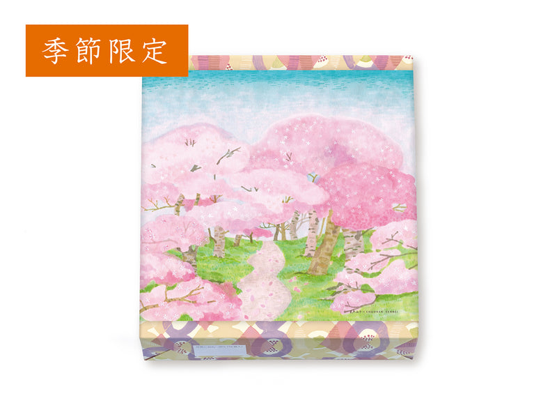 花色しおん　16袋　桜