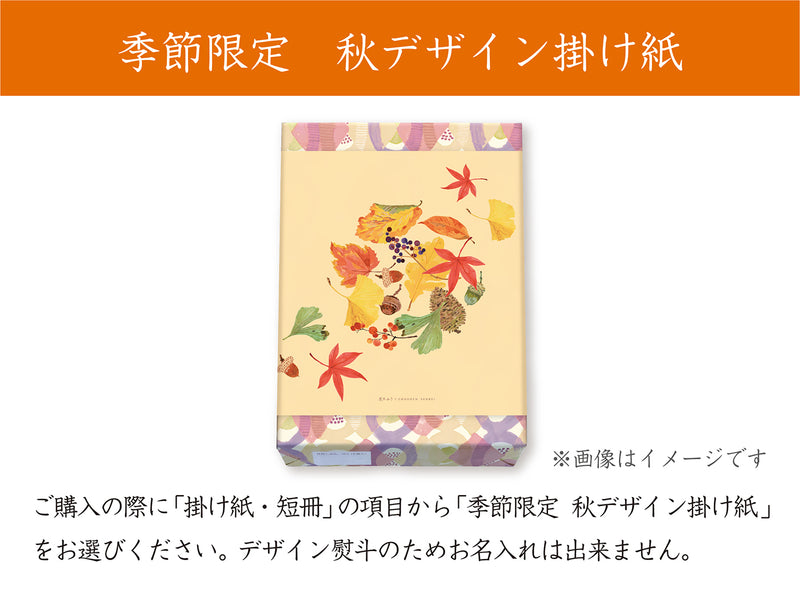 花色しおん　40袋