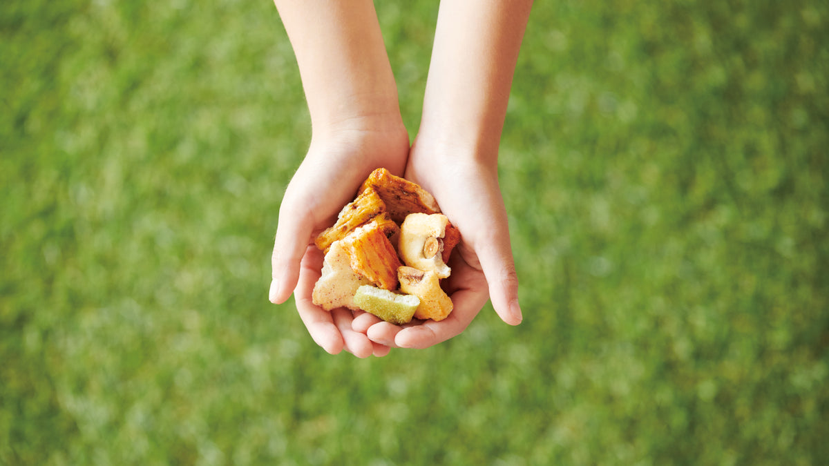 What we can do to decrease food loss"Kakecco"