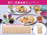 【まとめ買い】花色しおん　6袋入 × 10個（9＋1個）